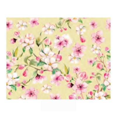 Central 23 Carta Regalo Con Fragole – 6 Fogli 70x50 Cm Con Adesivi – Riciclabile, FSC, Design Londinese Per Ragazze